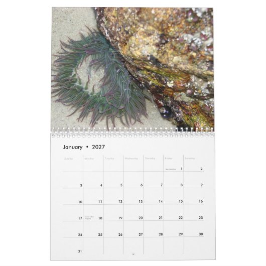 Erbphotographie-Kalender 2013 Kalender (Jan 2027)
