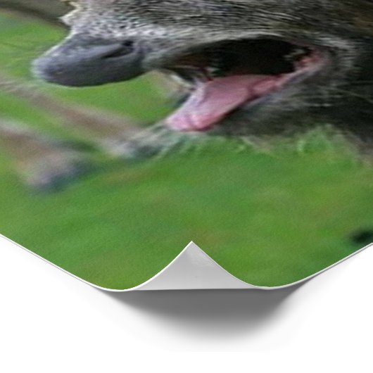 Erbrechen Hirsch: Poster (Ecke)