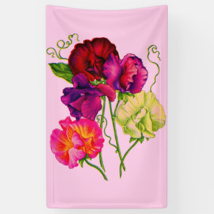 Erbse, lila und rosa banner