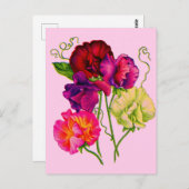 Erbse, lila und rosa postkarte (Vorne/Hinten)