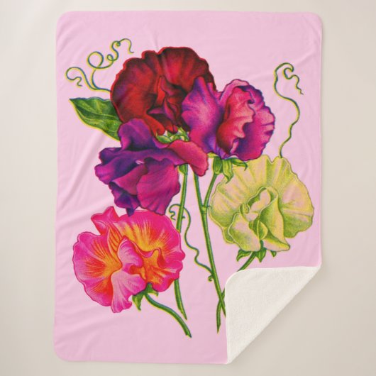 Erbse, lila und rosa sherpadecke (Vorderseite)