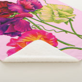 Erbse, lila und rosa sherpadecke (3/4)