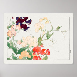 Erbse von Tanigami Konan Poster