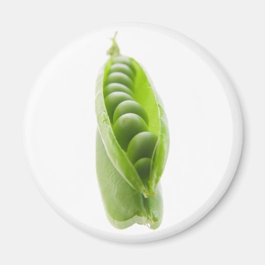 Erbsen auf Spiegel Magnet (Vorne)