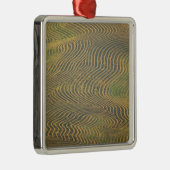 Erbsen von Linsenerbsen, gesäumt und auf die Ernte Silbernes Ornament (Rechts)