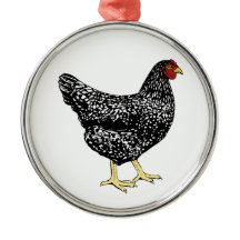 Erbzucht-Legehenne - abgehaltenes Plymouth Rock