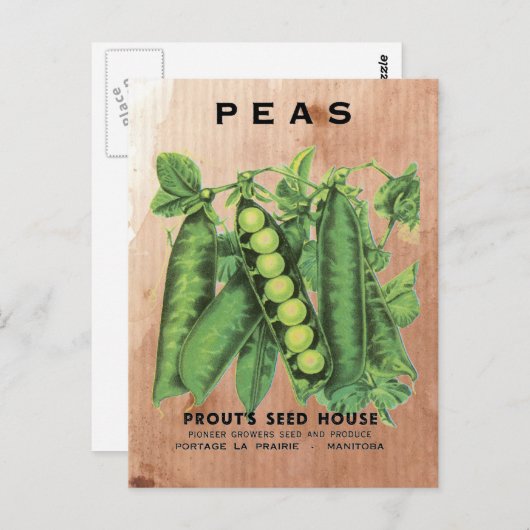 Erdäpfelpackung Postkarte (Vorne/Hinten)