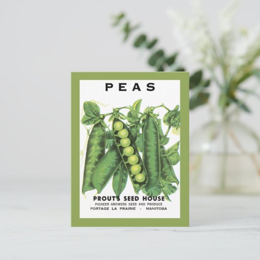 Erdäpfelpackung Postkarte (Stehend Vorderseite)