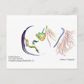 Erdball Postkarte (Vorderseite)