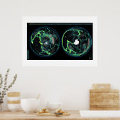 Erdbeben seit 1898, Global View Poster (Küche)