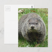 Erdbebenessen Postkarte (Vorne/Hinten)