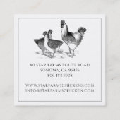 Erdbebengewächse Geflügelfarm Quadratische Visitenkarte (Rückseite)