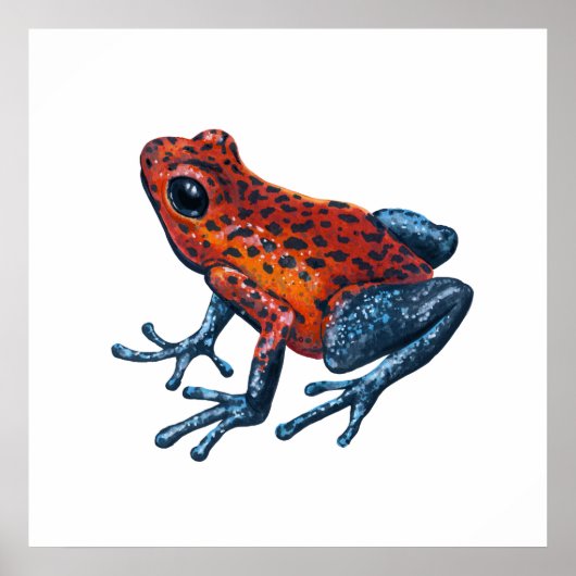 Erdbeer-Pfeilgiftfrosch Poster (Vorne)