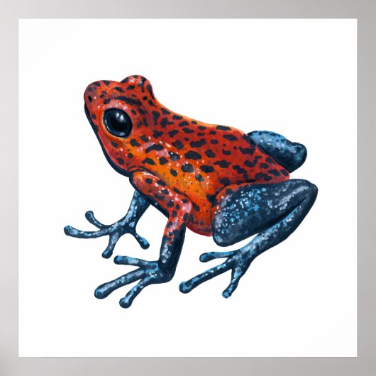Erdbeer-Pfeilgiftfrosch Poster (Vorne)
