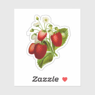 Erdbeer Vinyl Aufkleber Siegel Erdbeeren