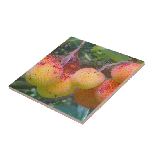 Erdbeerbaum Fliese (Seite)