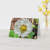 ErdbeerBlumen-Gruß-Karte, leeres Innere Karte (Gelbe Blume)
