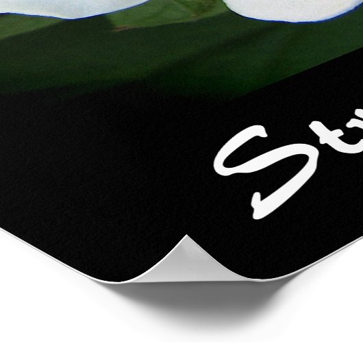 Erdbeerblüten Poster (Ecke)