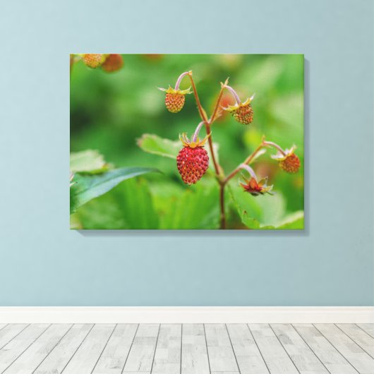 Erdbeere aus Rotem Holz in einem Foto Leinwanddruck (Insitu (Holzboden))