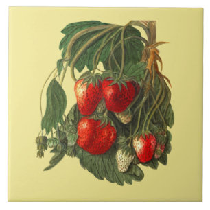 Erdbeere ~ Botanische Fliese ~ Küche ~ Jede Farbe