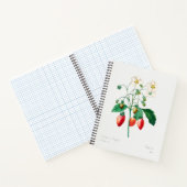 Erdbeere Botanische Printwerbung Notizblock (Innenseite)