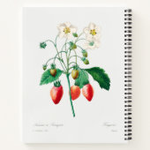 Erdbeere Botanische Printwerbung Notizblock (Rückseite)