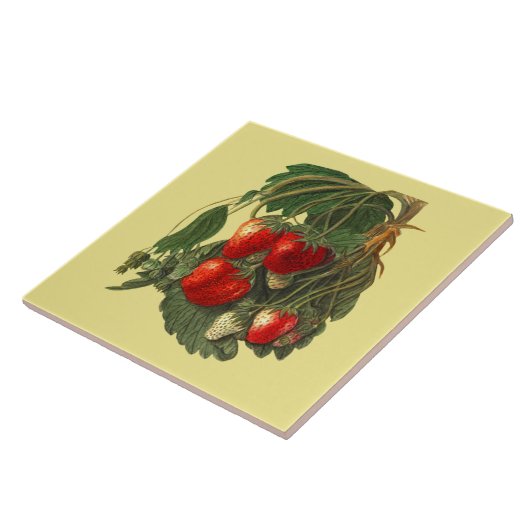 Erdbeere ~ Botanische Tile ~ Küche ~ Farbe Fliese (Seite)