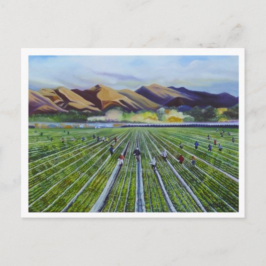 Erdbeere Fields Postkarte (Vorderseite)