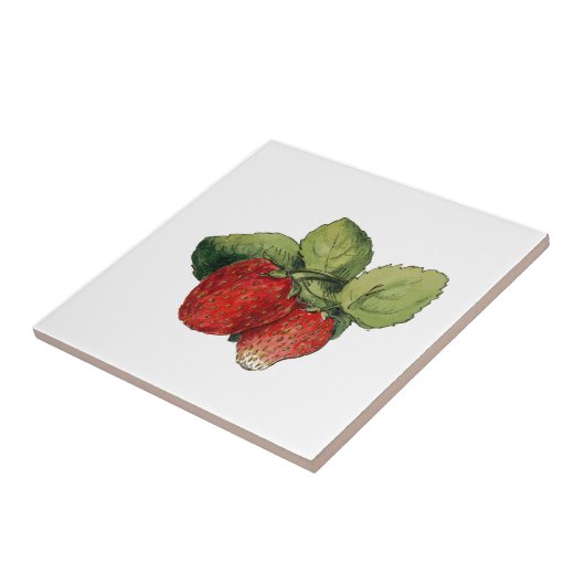 Erdbeere Fliese (Seite)