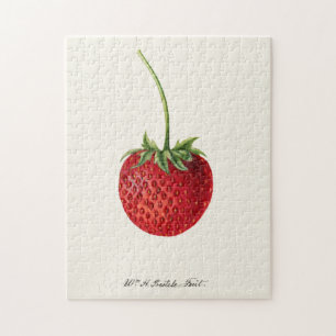 Erdbeere (Fragaria) Aquarellmalerei von Früchten Puzzle