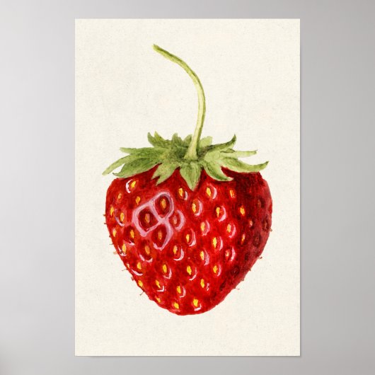 Erdbeere (Fragaria) Fruchtfarbe Poster (Vorne)