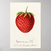 Erdbeere (Fragaria) Fruchtfarbe Poster (Vorne)