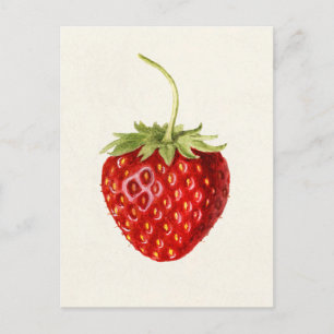 Erdbeere (Fragaria) Fruchtfarbe Postkarte