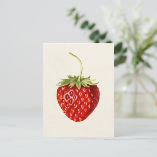 Erdbeere (Fragaria) Fruchtfarbe Postkarte (Stehend Vorderseite)