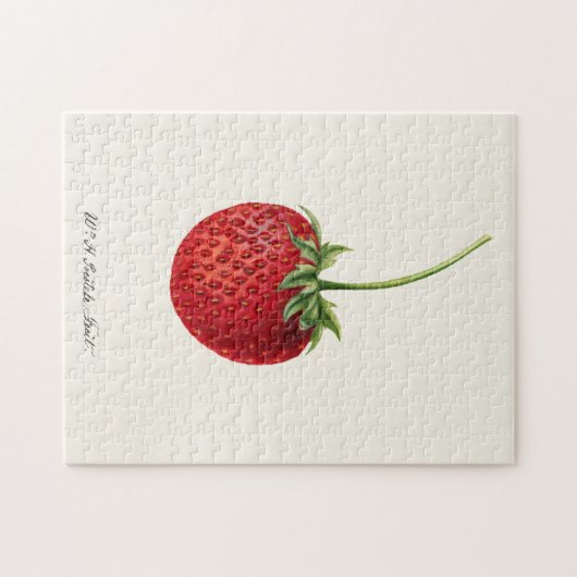 Erdbeere (Fragaria) Fruchtfarbe Puzzle (Horizontal)