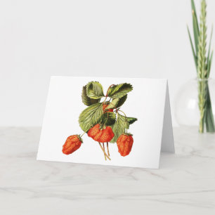 Erdbeere Frucht Vintage Botanische Illustration Karte