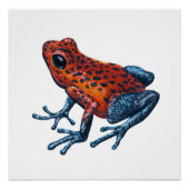 Erdbeere Giftdarmfrosch Poster (Vorderseite)