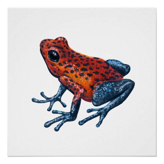 Erdbeere Giftdarmfrosch Poster (Vorderseite)