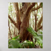 Erdbeere Guava Tree und Palmen Poster (Vorne)