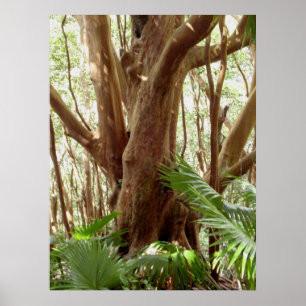 Erdbeere Guava Tree und Palmen Poster