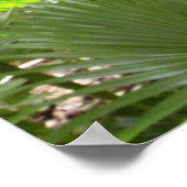 Erdbeere Guava Tree und Palmen Poster (Ecke)