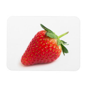 Erdbeere Magnet