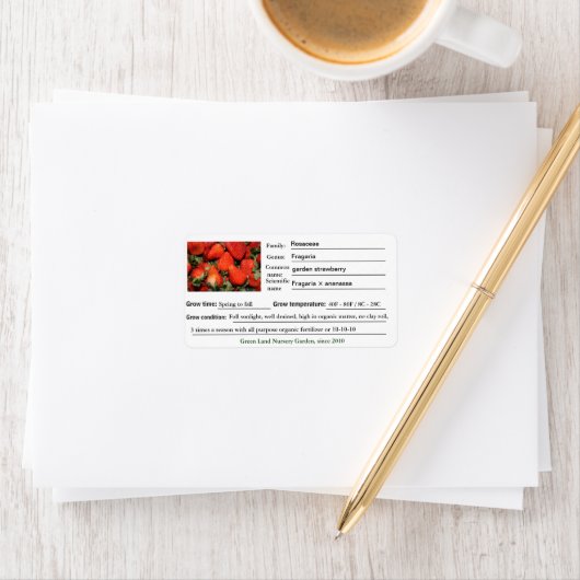 Erdbeere Pflanze Garten oder Kinderzimmer Etikette Adressaufkleber (Insitu)