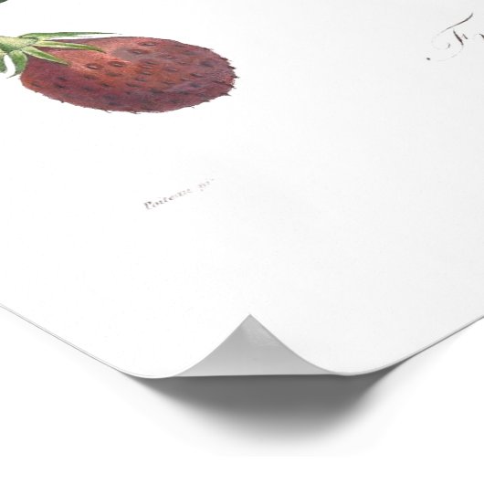 Erdbeere Poster (Ecke)