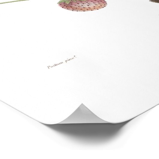 Erdbeere Poster (Ecke)