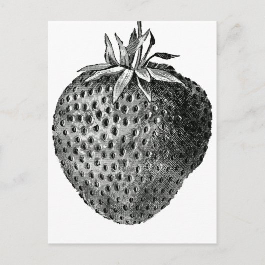 Erdbeere Postkarte (Vorderseite)