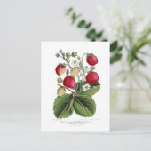 Erdbeere Postkarte (Stehend Vorderseite)