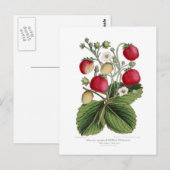 Erdbeere Postkarte (Vorne/Hinten)