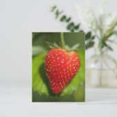 Erdbeere Postkarte (Stehend Vorderseite)