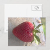 Erdbeere Postkarte (Vorne/Hinten)